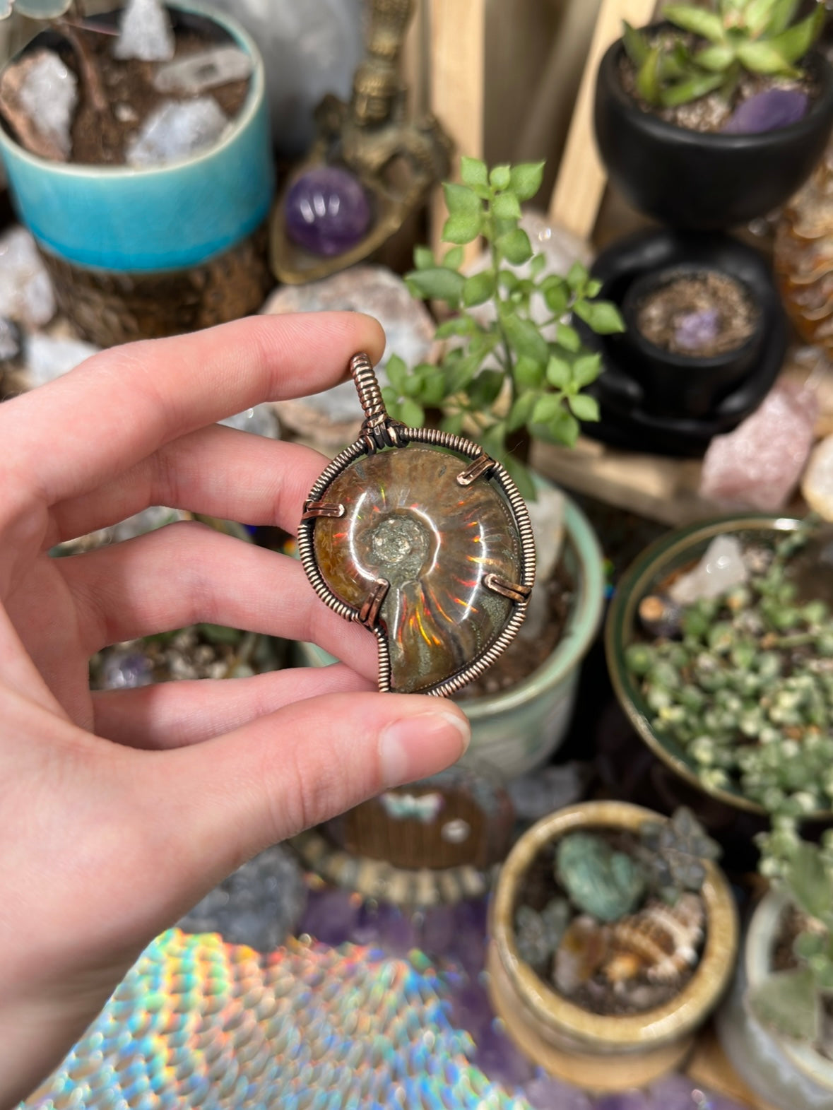Opalized Ammonite pendant