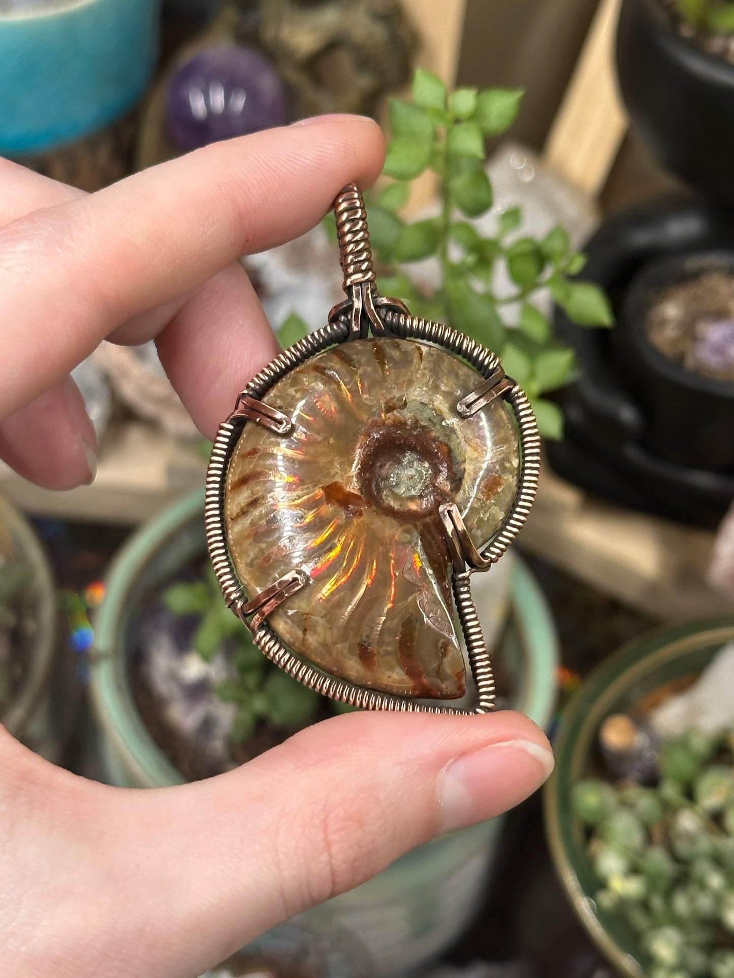 Opalized Ammonite pendant