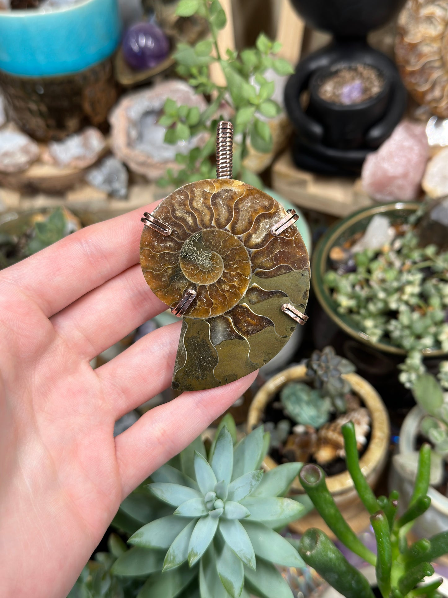 Ammonite statement pendant