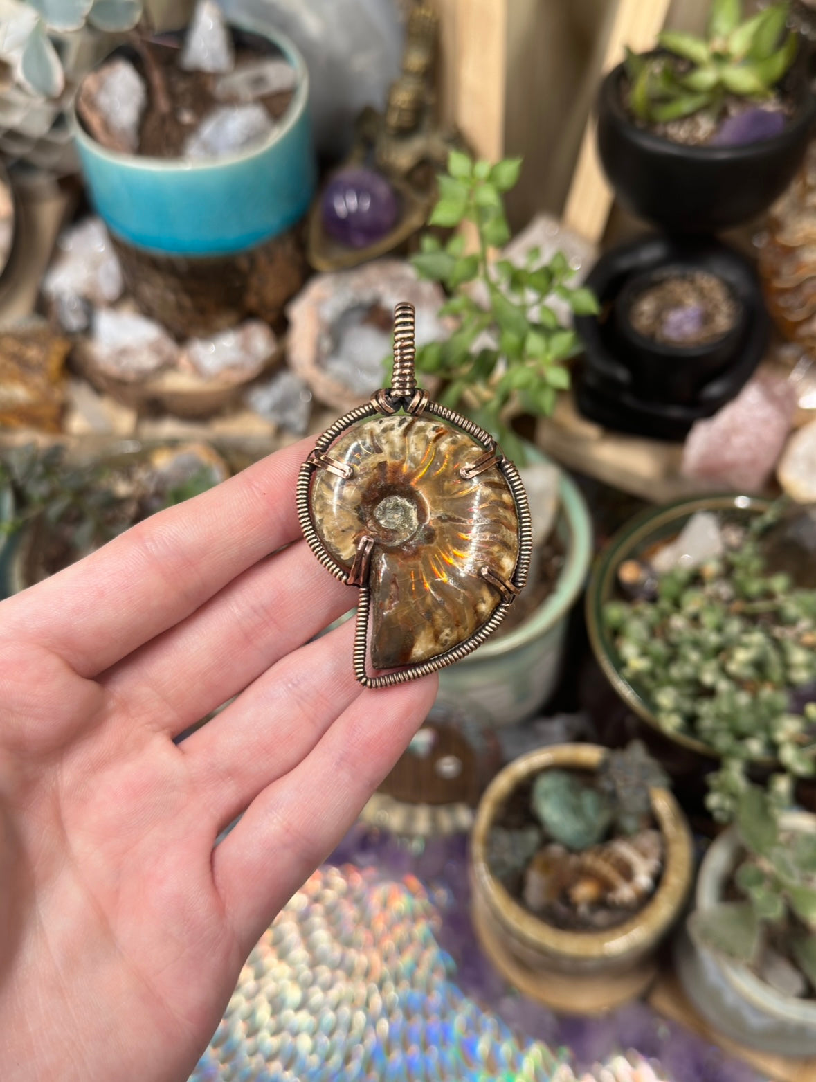 Opalized Ammonite pendant