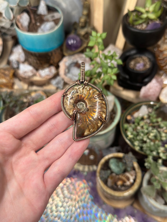 Opalized Ammonite pendant