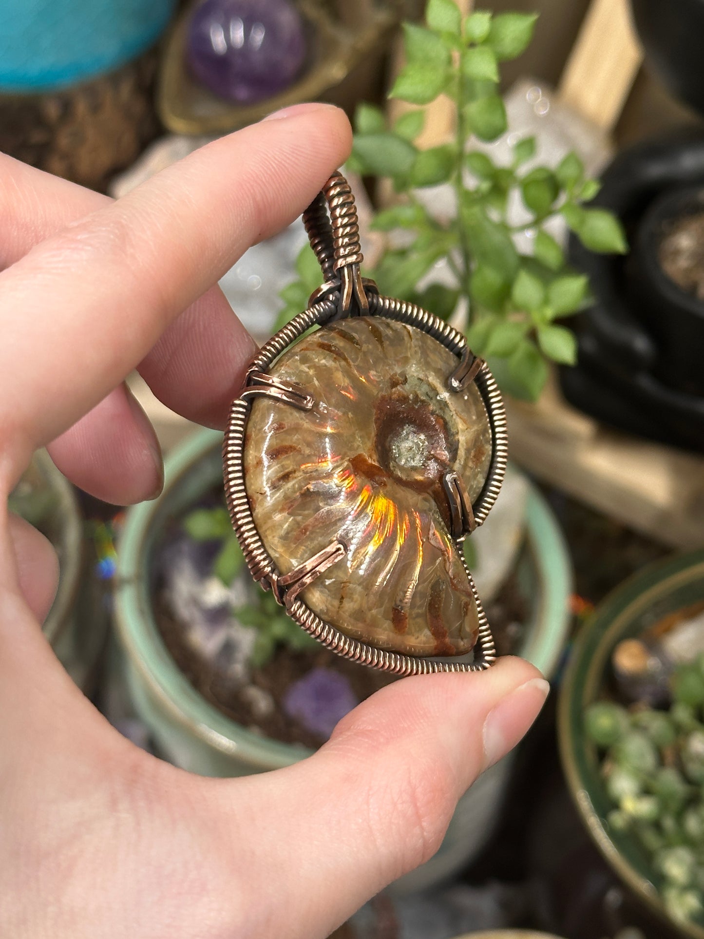 Opalized Ammonite pendant