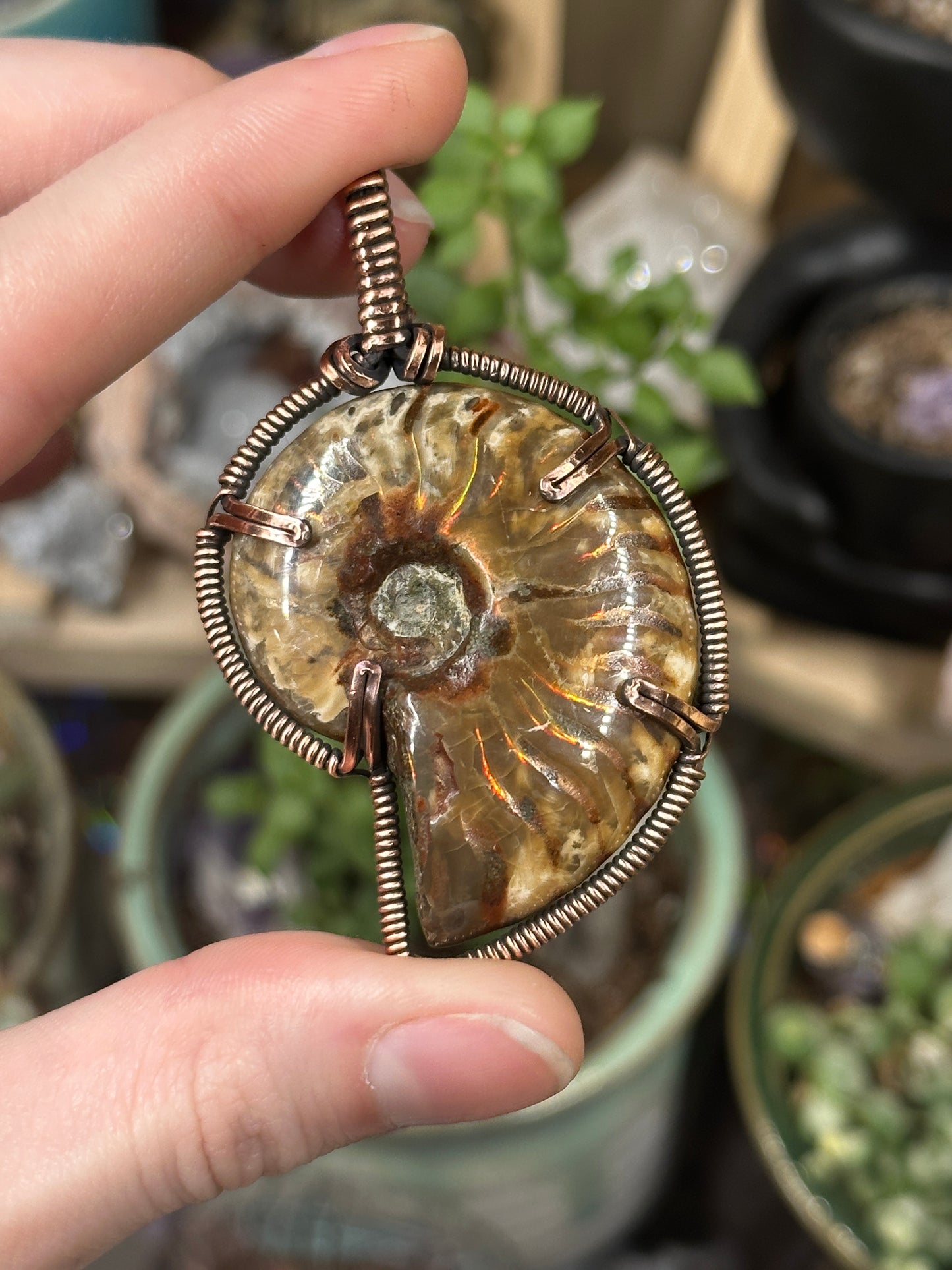 Opalized Ammonite pendant