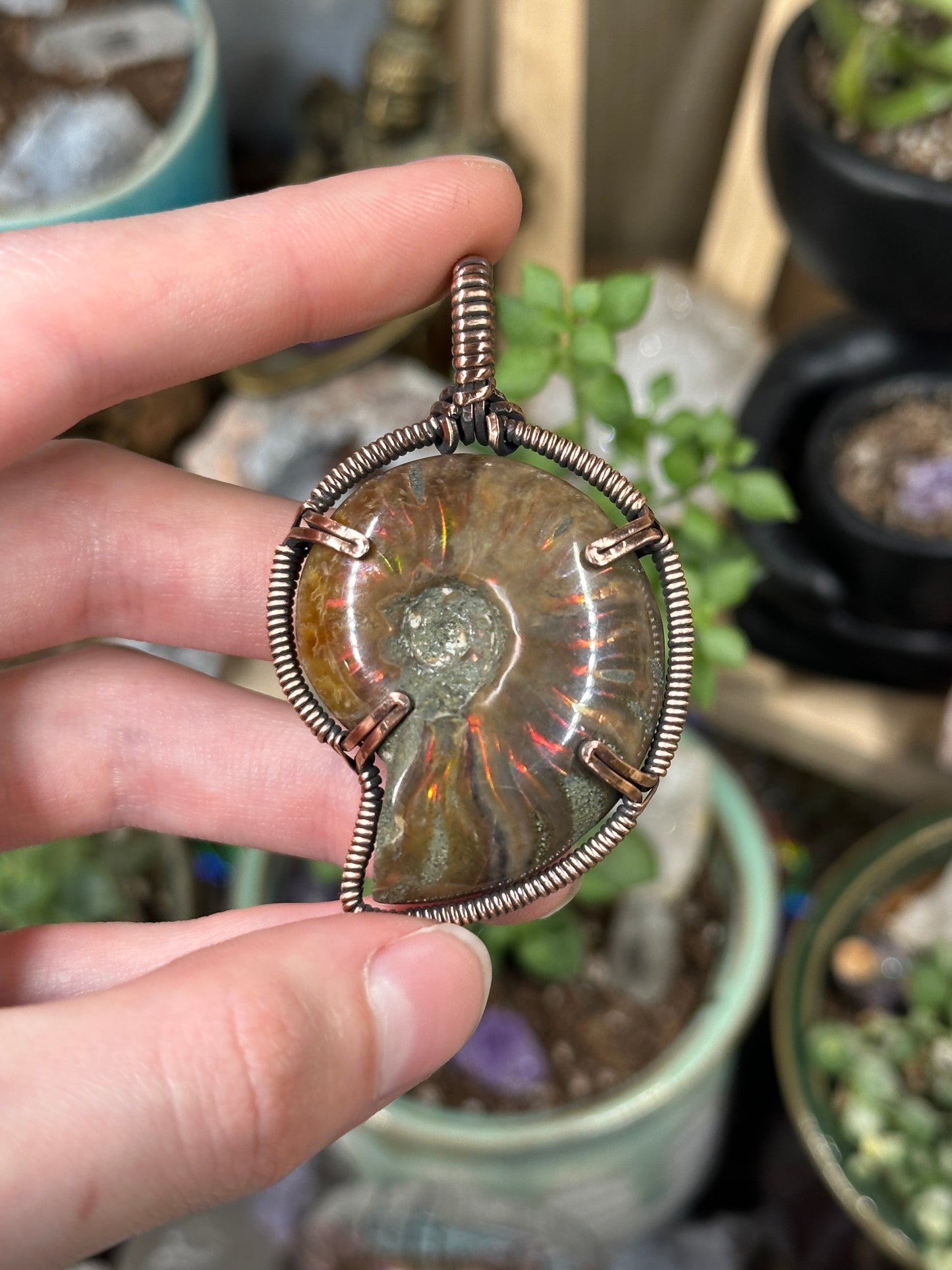 Opalized Ammonite pendant