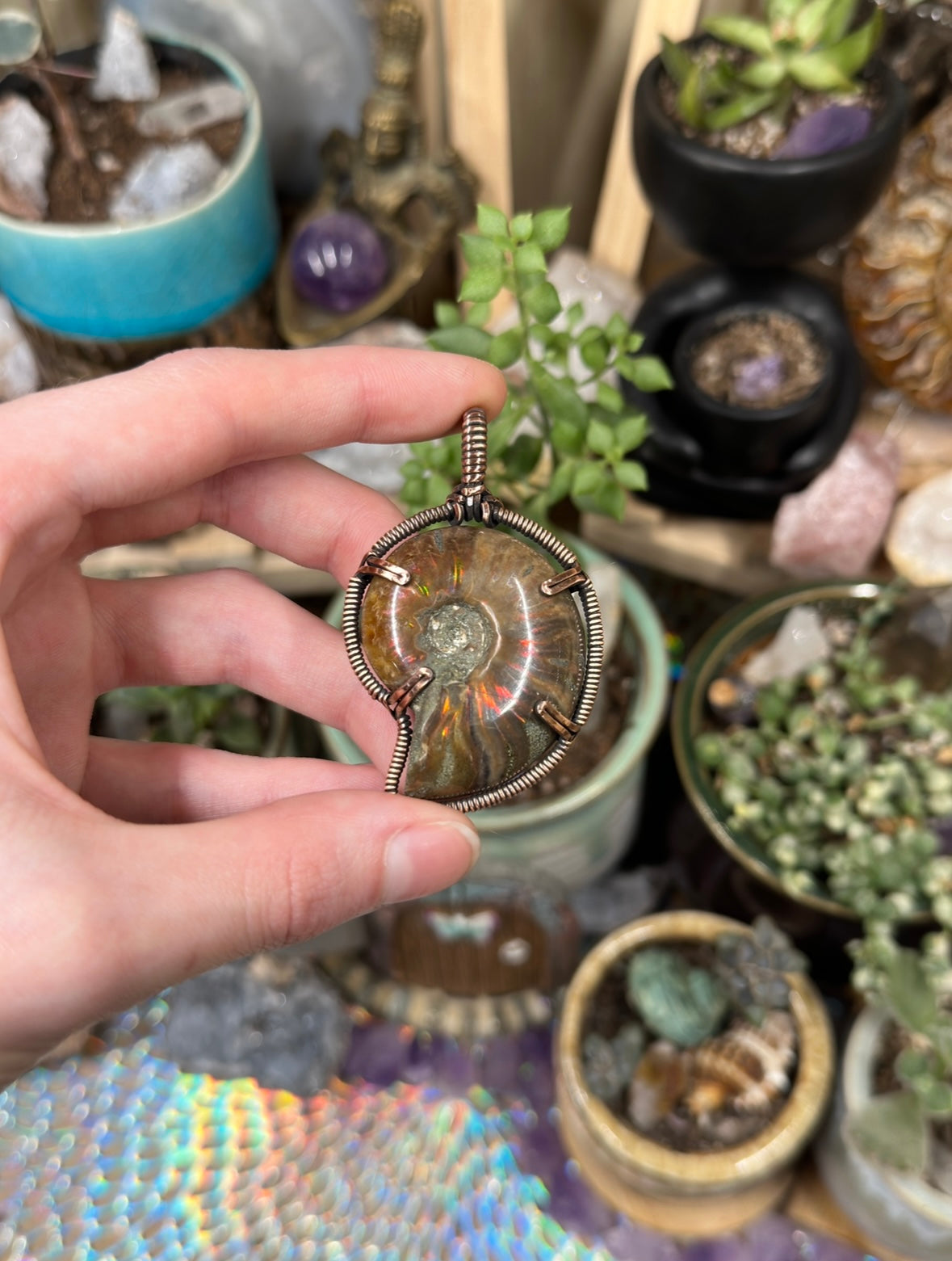 Opalized Ammonite pendant