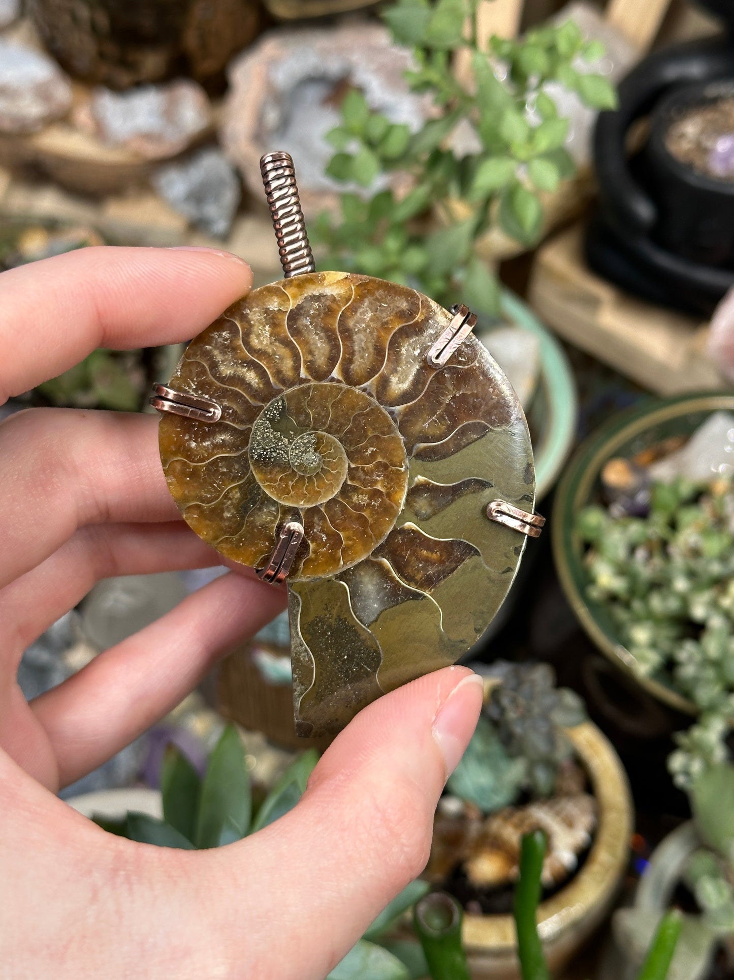 Ammonite statement pendant
