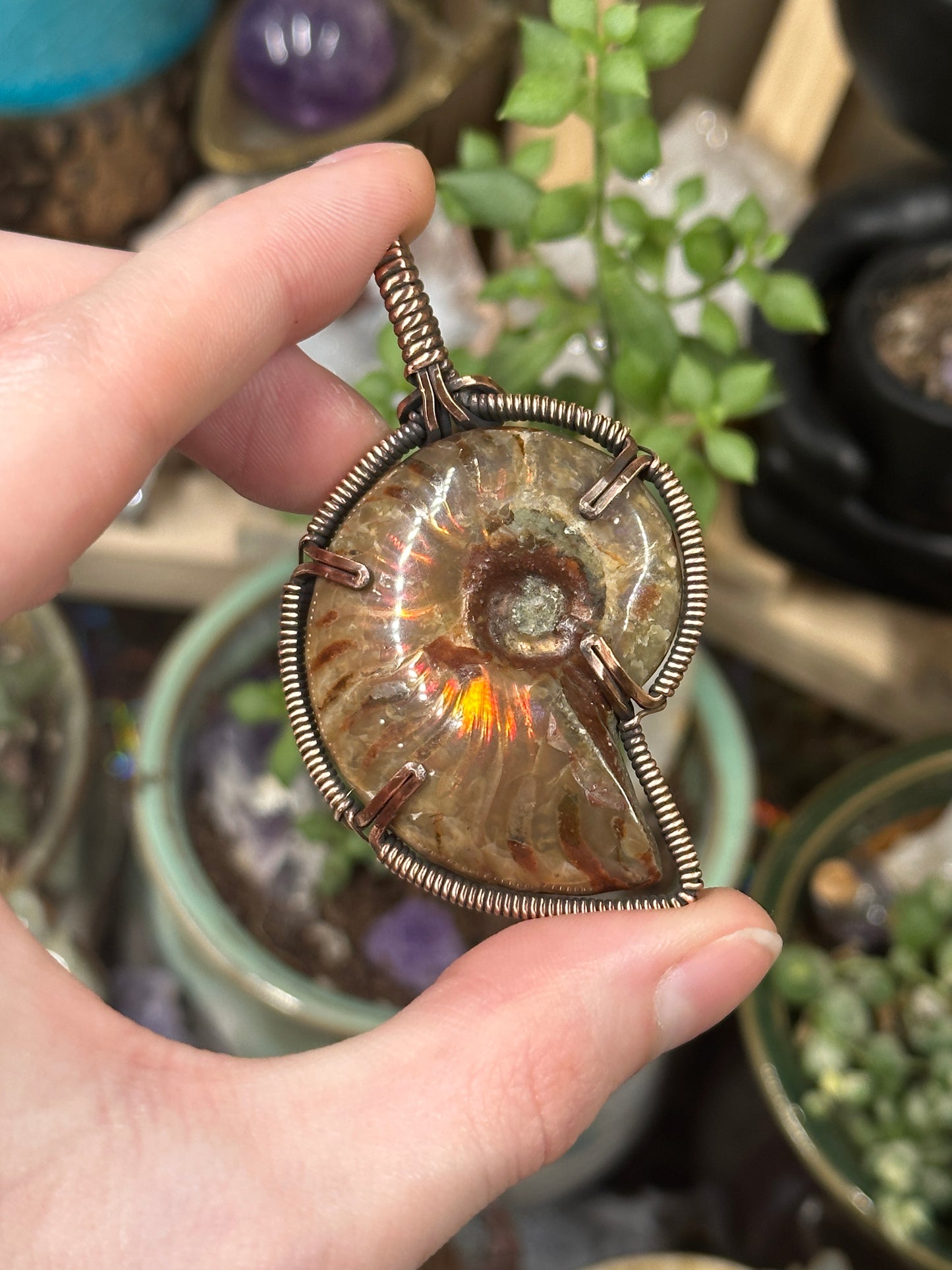 Opalized Ammonite pendant
