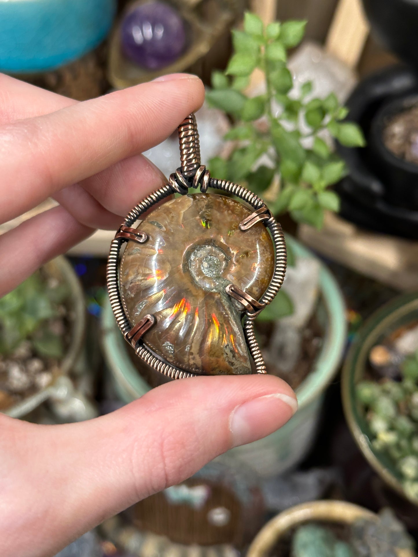 Opalized Ammonite pendant