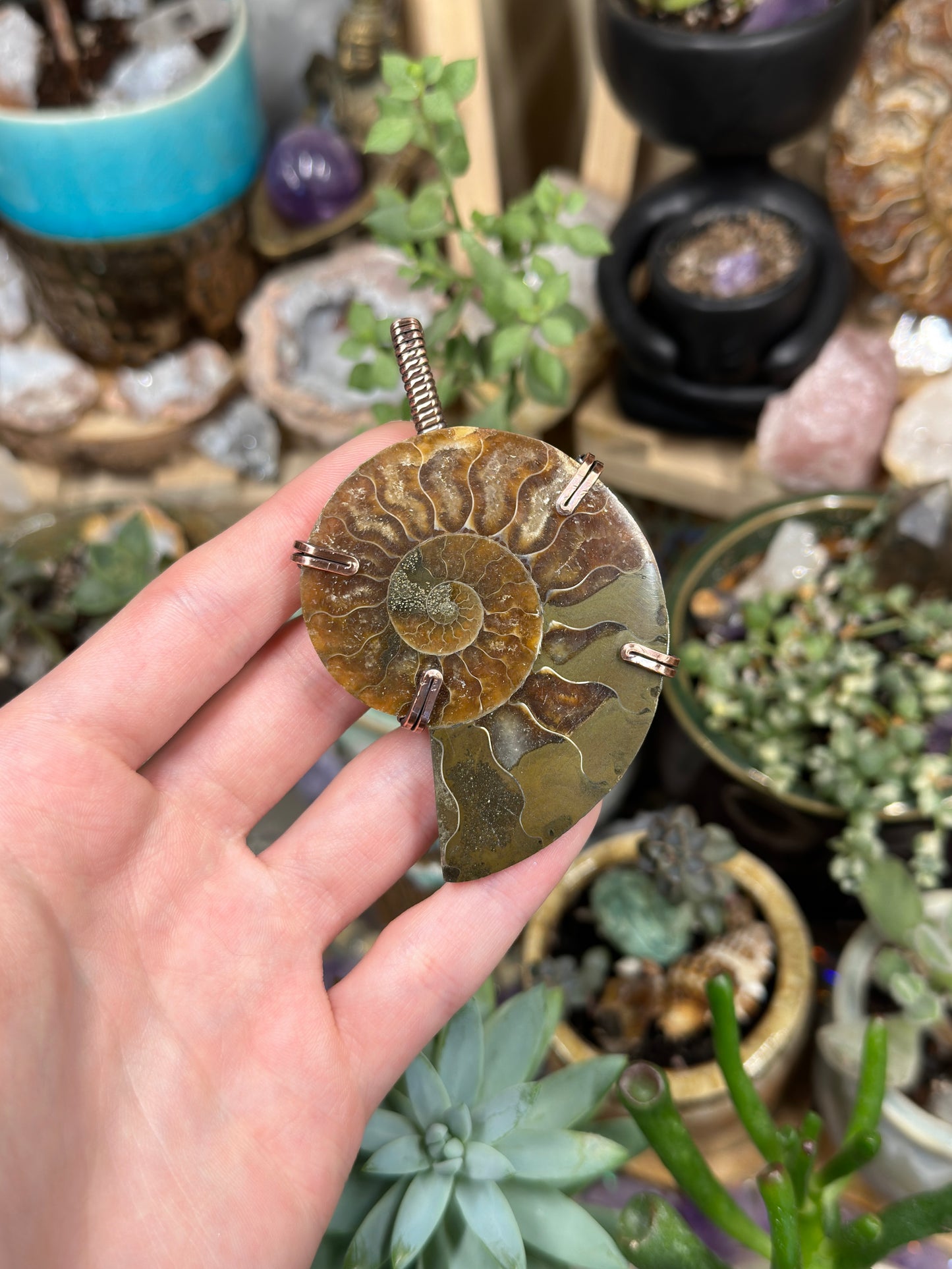 Ammonite statement pendant