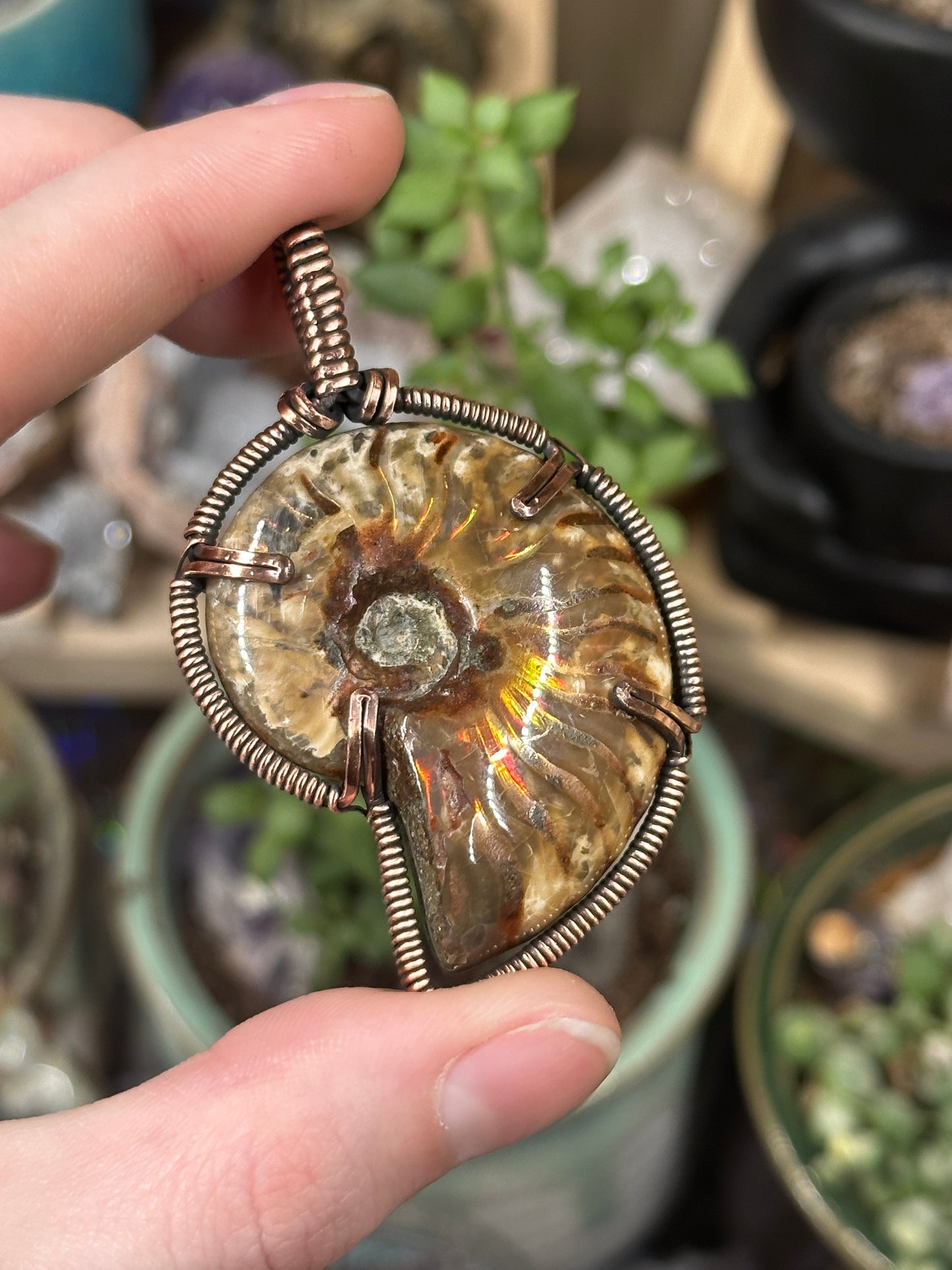 Opalized Ammonite pendant