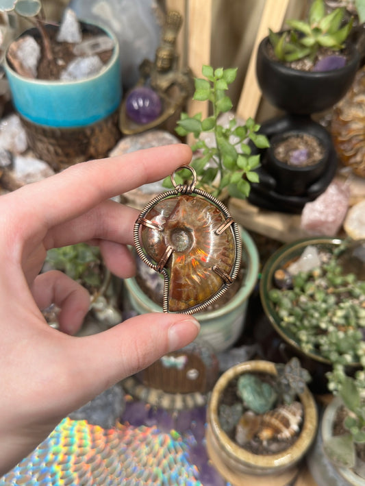 Opalized Ammonite pendant