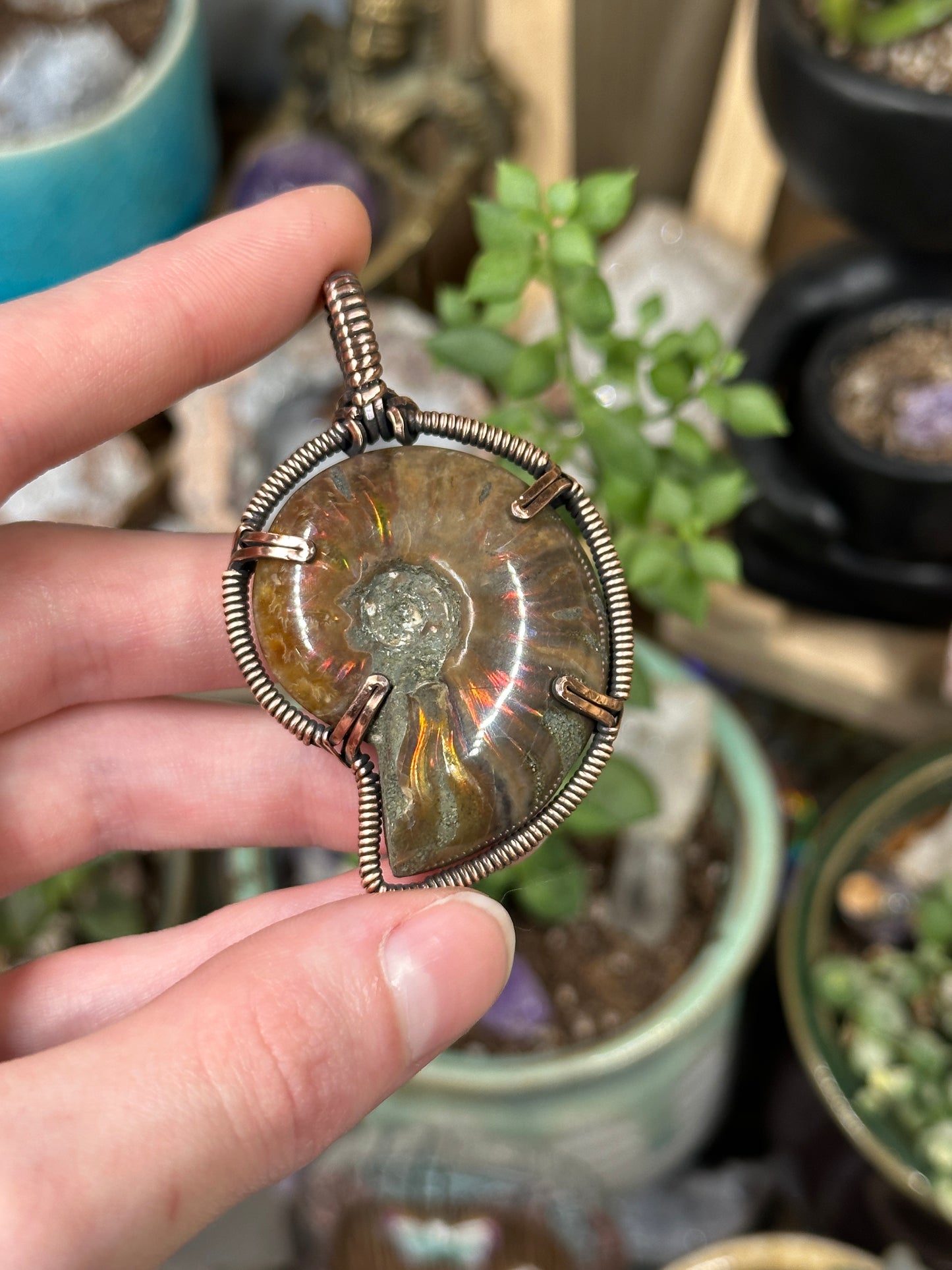 Opalized Ammonite pendant