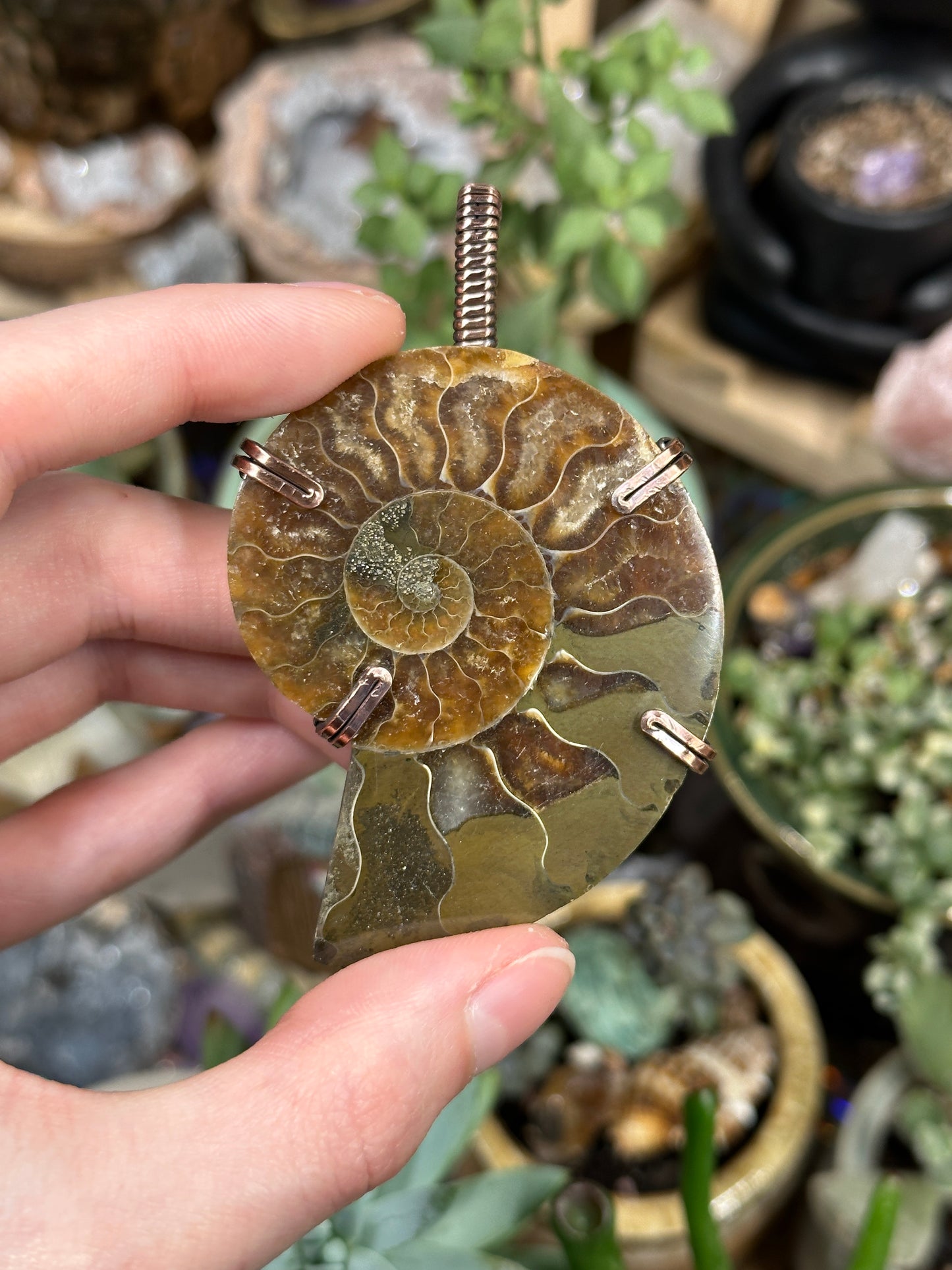Ammonite statement pendant
