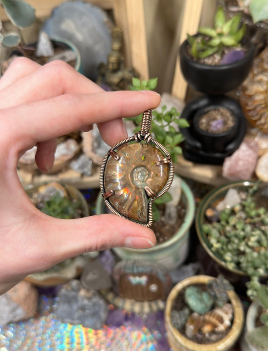 Opalized Ammonite pendant