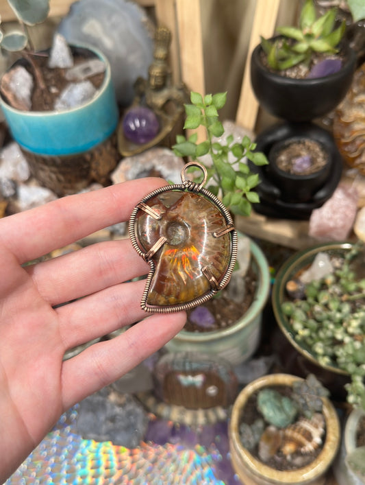 Opalized Ammonite pendant