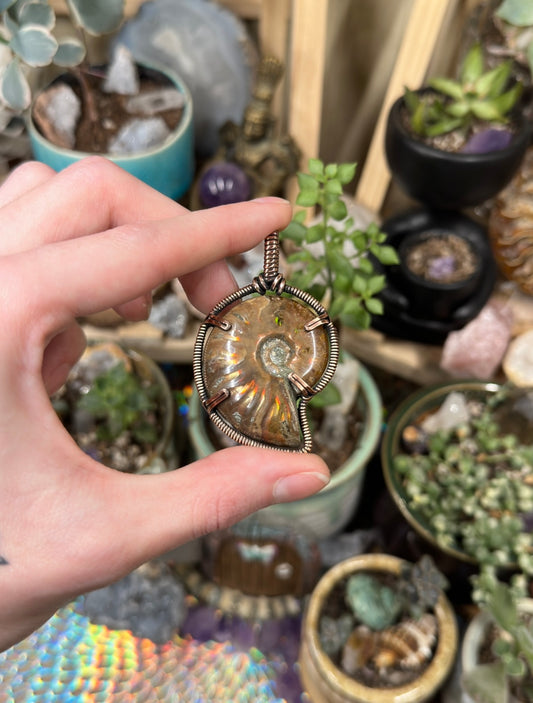 Opalized Ammonite pendant