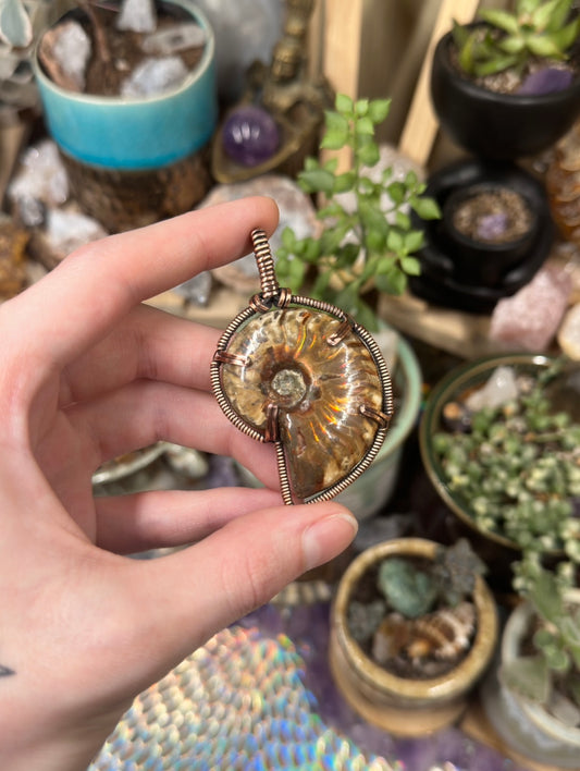 Opalized Ammonite pendant