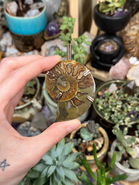 Ammonite statement pendant